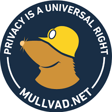 Mullvad VPN 2023.3 Crack + Serial Key Free Download {2023}