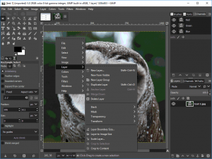 Gimp v2.10.24 Crack With Patch + Keygen Free Download 2021