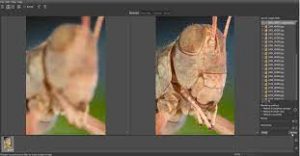 Helicon Focus Pro v7.6.6 Crack & Lifetime Serial Key Download