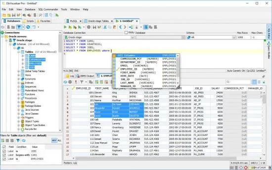 DbVisualizer Pro 12.1.3 Crack With Keygen Key Download Free 2022