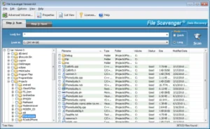 File Scavenger 6.3 + (100% Working) License Key [2023]